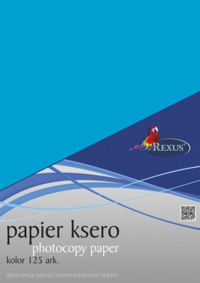 Papier ksero 125 arkuszy Kolor mix