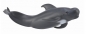 Wieloryb Pilot L (88613)