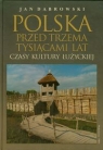 Polska przed trzema tysiącami lat Czasy kultury łużyckiej Dąbrowski Jan