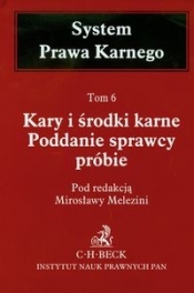 Kary i środki karne Poddanie sprawcy próbie Tom 6 - Opracowanie zbiorowe