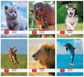 Zeszyt x.book w trzy linie dwukolorowe 32 kartki Animals