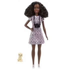 Barbie Kariera zestaw HCN10
