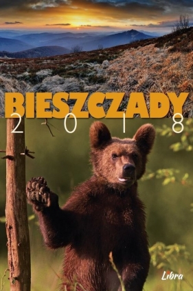 Bieszczady 2018 - Matysiak Mateusz, Barzowski Łukasz, Bilińscy Agnieszka i Włodek
