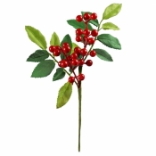 Zimowa gałązka z jagodami