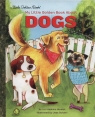 My Little Golden Book About Dogs Haskins Houran Lori
