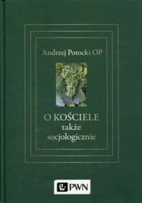 O Kościele także socjologicznie - Andrzej Potocki