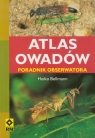 Atlas owadów Poradnik obserwatora Bellmann Heiko