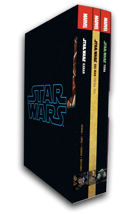 <img src='https://webimage.pl/pics/140/3/d9788328163140.png'>