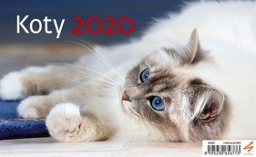 Kalendarz biurkowy Koty 2020 (S503-20)