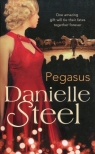 Pegasus  Steel Danielle