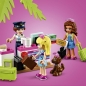 Lego Friends: Samolot z Heartlake City (41429)