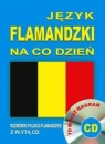 Język flamandzki na co dzień Rozmówki polsko-flamandzkie z płytą CD70