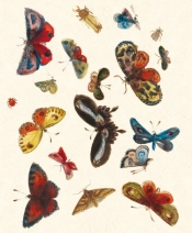 Karnet 17x14cm z kopertą Butterfly design decoration