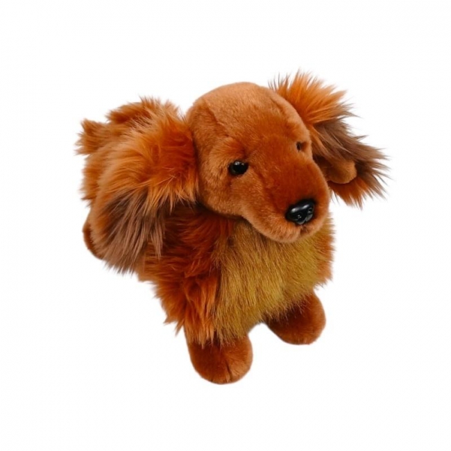 Jamnik brązowy stojący