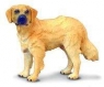 Papo Golden retriever (54014) 54012