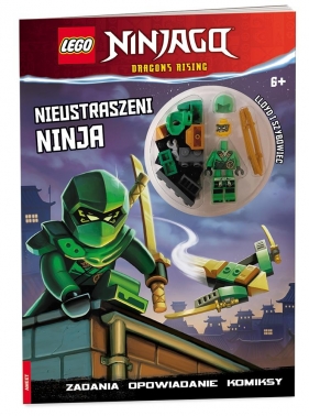 Lego ninjago. Nieustraszeni ninja