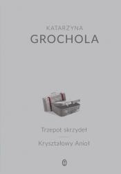 Trzepot skrzydeł Kryształowy Anioł - Katarzyna Grochola