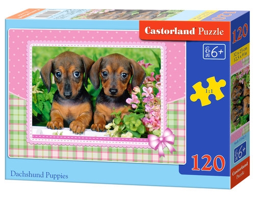 Puzzle Dachshund Puppies 120 elementów (13142)