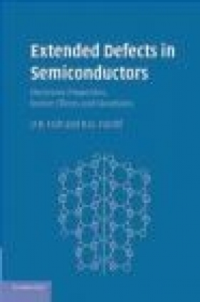 Extended Defects in Semiconductors - B. G. Yacobi, D. B. Holt