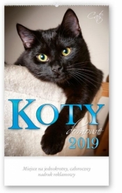 Kalendarz 2019 Reklmowy Koty domowe RW24