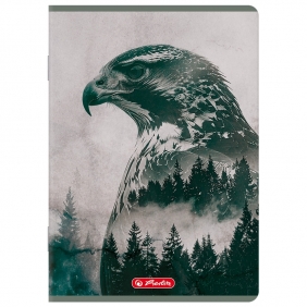 Zeszyt Herlitz Standard Wild A5/60k linia z marginesem, 1 szt