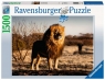 Ravensburger, Puzzle 1500: Lew (17107)