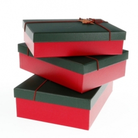 Pudełko na prezent Rozette pudełko reg/green (5907354061143)