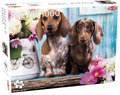 Puzzle Dashing Dachshunds 1000 el /58314/