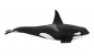 Orka (kolekcja delux) ANIMAL PLANET (87114)