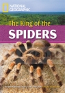 FRL The King of the Spiders z CDR (lev.2600)