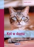 Kot w domu