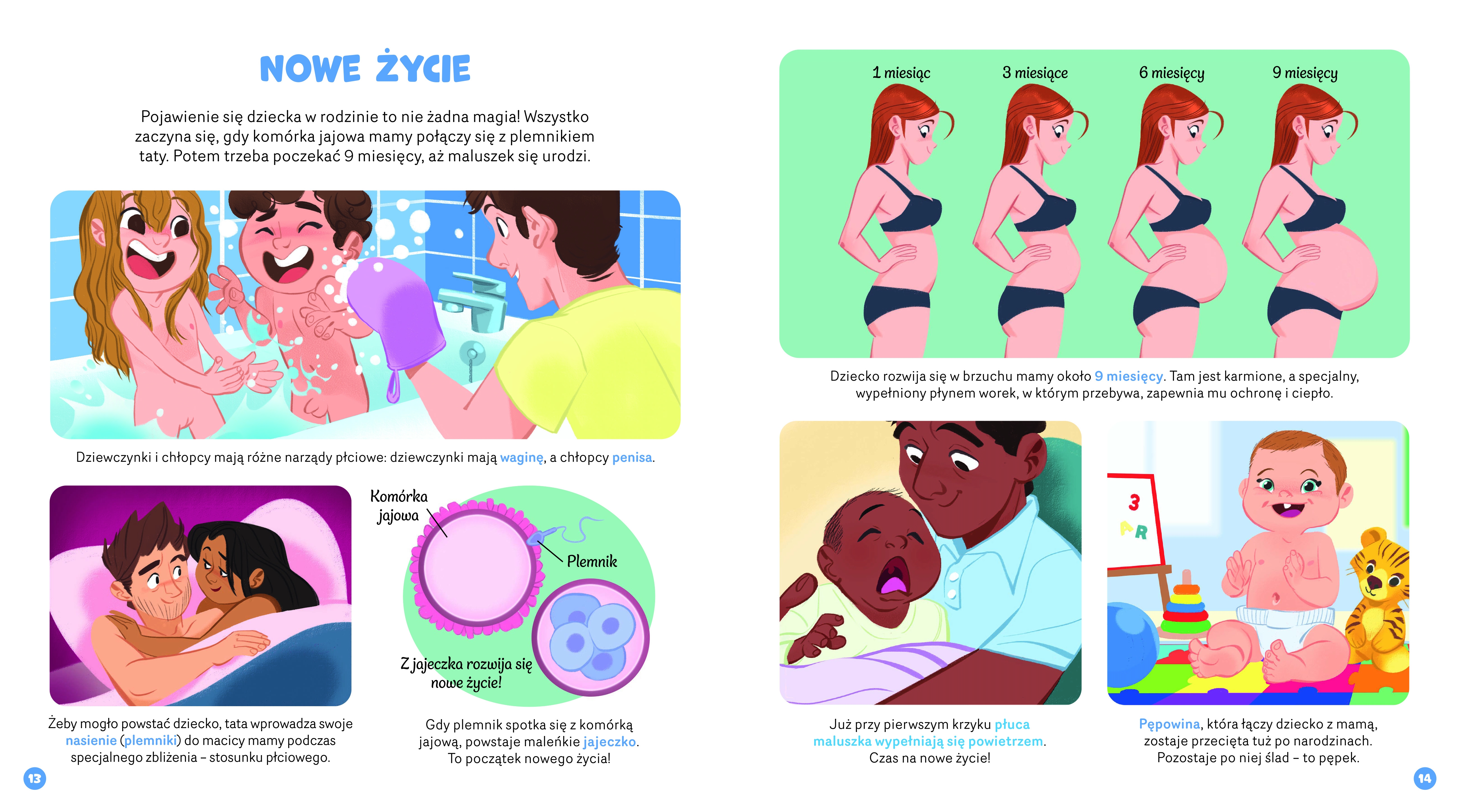 Zakręć, odkryj, przeczytaj! Ciało człowieka