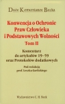 Konwencja o Ochronie Praw Człowieka i Podstawowych Wolności Tom 2