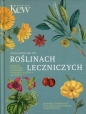 Przewodnik po roślinach leczniczych - Melanie-Jayne Howes, Jason Irving, Monique Simmonds