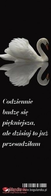 Zakładka do książki - Codziennie budzę się...