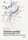 Żołnierz polski pod Gorlicami 1915. Działalność 100 Pułku Ziemi Latinik Franciszek