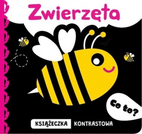 Co to? Zwierzęta Książeczka kontrastowa - Opracowanie zbiorowe