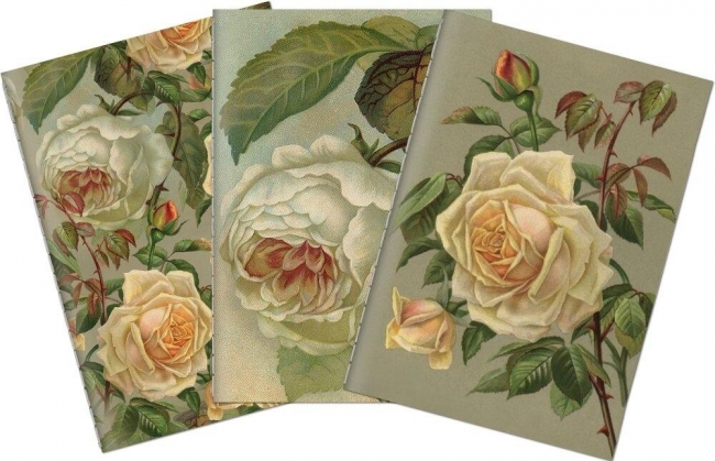 <img src='https://webimage.pl/pics/145/5/d7340229005145.jpg'>