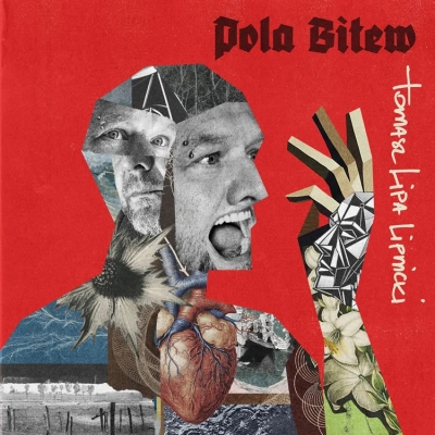 Pola bitew (Digibook)