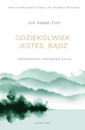 Gdziekolwiek jesteś, bądź - Jon Kabat-Zinn