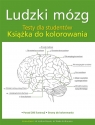 Ludzki mózg. Testy dla studentów