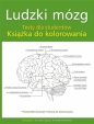 Ludzki mózg. Testy dla studentów - Opracowanie zbiorowe