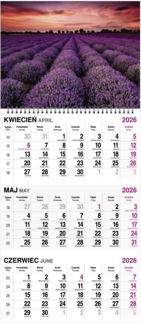 Kalendarz 2026 trójdzielny na spirali MIX