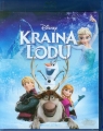 Kraina Lodu Blu-ray