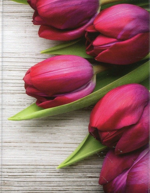 Okładka na dokumenty Tulipany