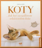 Koty
