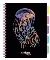 Kołozeszyt Strigo Pads Project Book A4 kratka Głębiny - Meduza