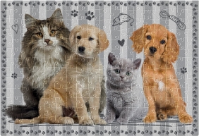 Interdruk, Puzzle 250: Puppy Sign 4