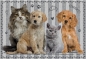Interdruk, Puzzle 250: Puppy Sign 4