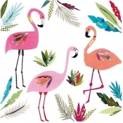 Karnet kwadrat z kopertą 3 Flamingos